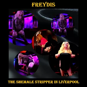 The Shemale Party Stripper in Liverpool - photo 5