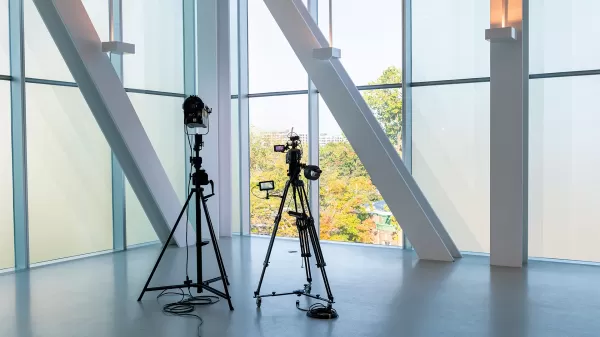  Casting Call  Actors  Actresses 20  Adult Production - photo 4