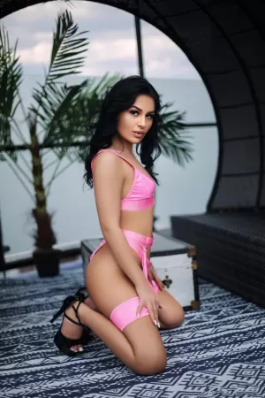  Elle Your Companion for Unforgettable Moments - photo 9